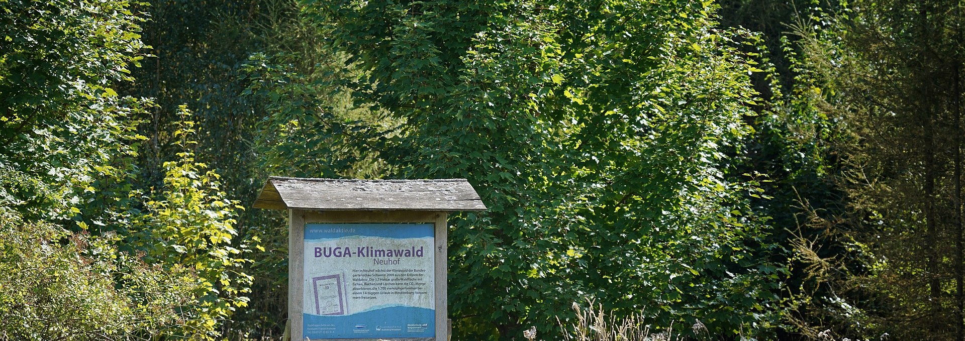 Klimawald Neuhof Infotafel, © Landesforst MV