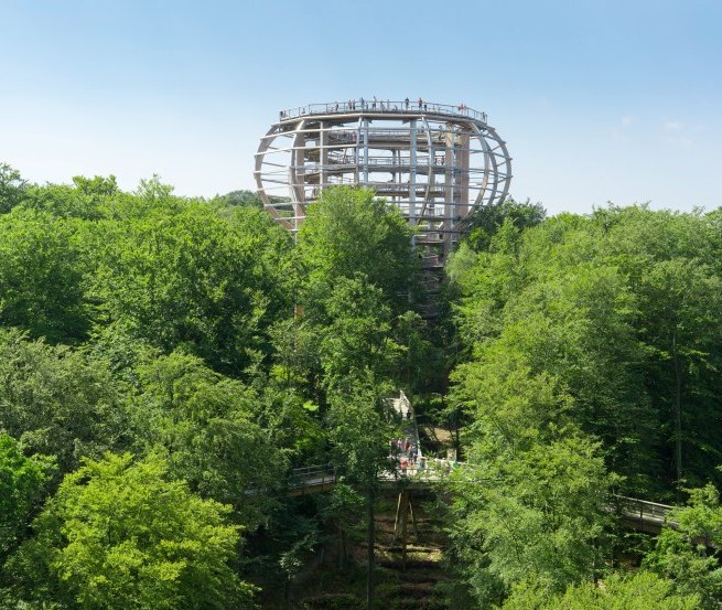 Der Baumwipfelpfad mit dem Aussichtsturm „Adlerhorst“ liegt inmitten eines Buchenwaldes in Prora auf der Insel Rügen., © Erlebnis Akademie AG / Naturerbe Zentrum Rügen