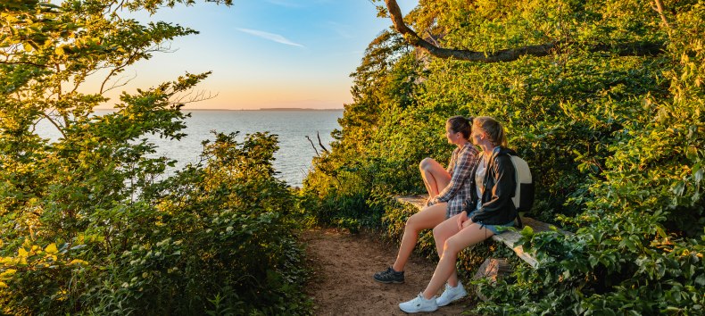 Sollte unbedingt einen Zwischenstopp an der Steilküste von Lietzow einplanen. Die Aussicht über den Bodden im Licht der untergehenden Sonne ist sagenhaft., © TMV/Tiemann