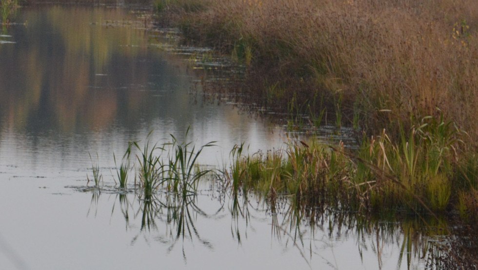 Grambower Moor 3, © Tourismusverband Mecklenburg-Schwerin