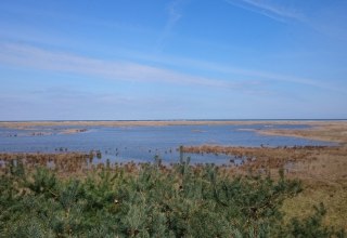 Blick von der Aussichtsplattform am Fukareksee, © UB