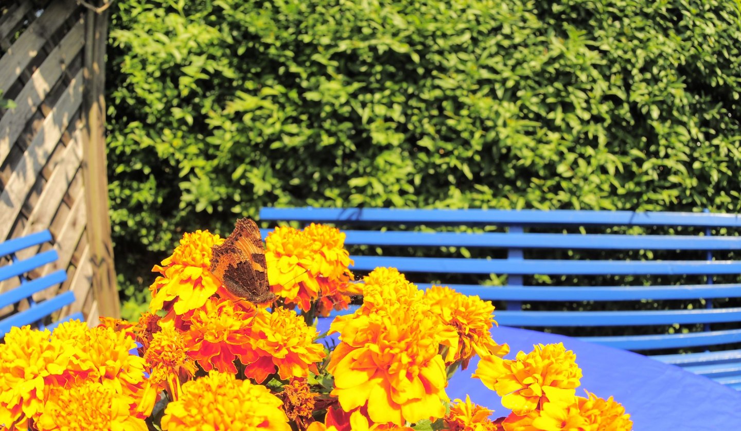 Sitzecke im Garten vor dem Ferienzimmer, © Kleines Fischerhaus