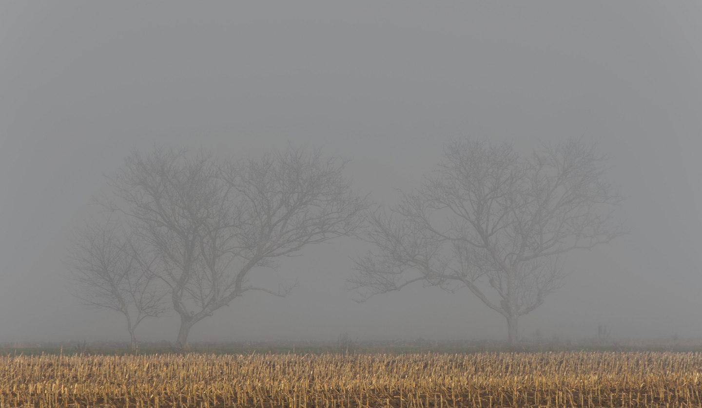 Vom Verschwinden, © Ralf Mittermüller