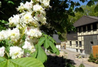 Dat Waldhus  im Frühling, © Steffen Tepasse