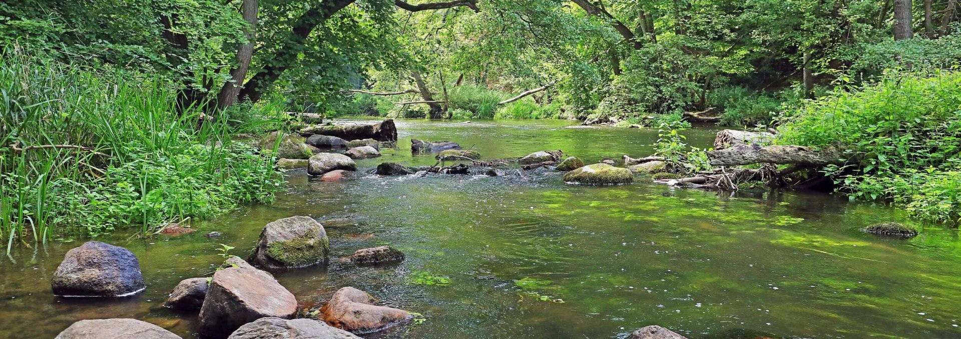 Durchbruchstal der Warnow, © TMV/Gohlke