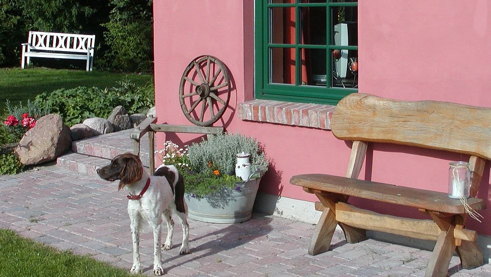 Unsere Münsterländerhündin Cora vor einem der Ferienwohnungen, © Wittenberghof