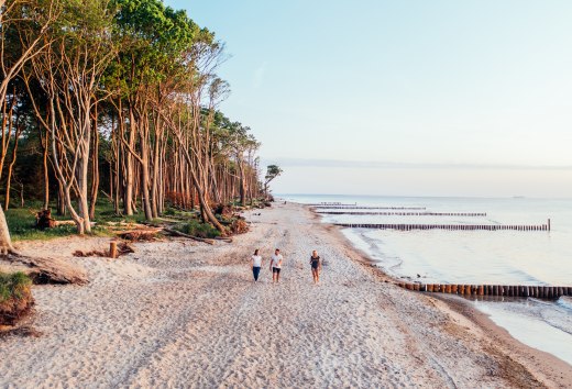 Drei Personen gehen am Strand spazieren. Auf der linken Seite befindet sich der Küstenwald und auf der rechten Seite ist die Ostsee. 