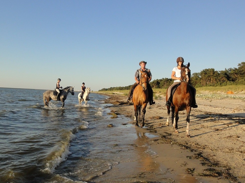 Gelände- und Strandritte durch die vorpommersche Boddenlandschaft, © Pferdesport Brauns