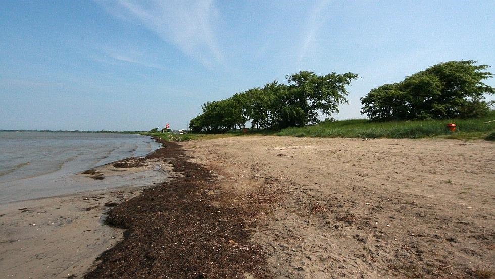 Schaproder Bodden, © surflocal.de