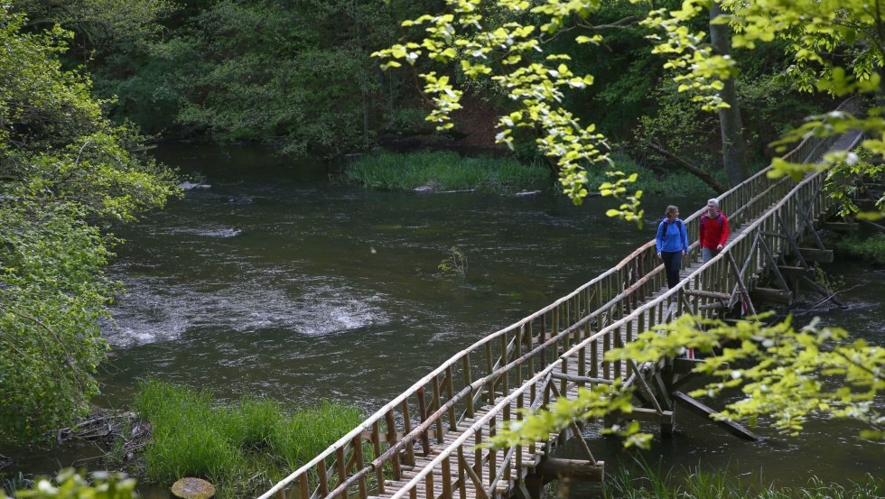 Holzbrücke im Naturschutzgebiet Durchbruchstal der Warnow und Mildenitz, © TMV/outdoor-visions.com