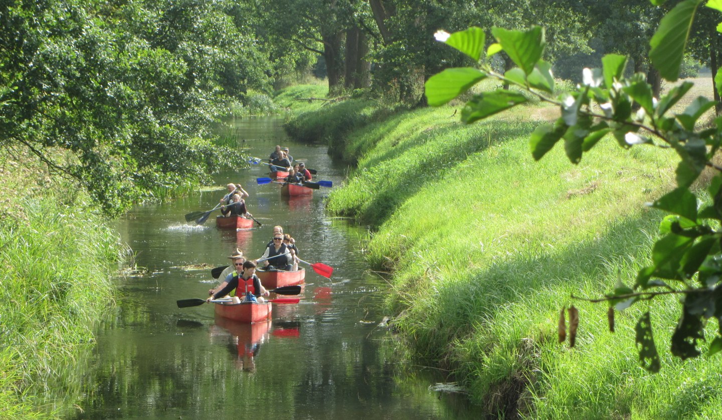 Geführte Kanutour durchs Biosphärenreservat zwischen Redefin und Gößlow., © Jessenitzer Aus- und Weiterbildung e.V.