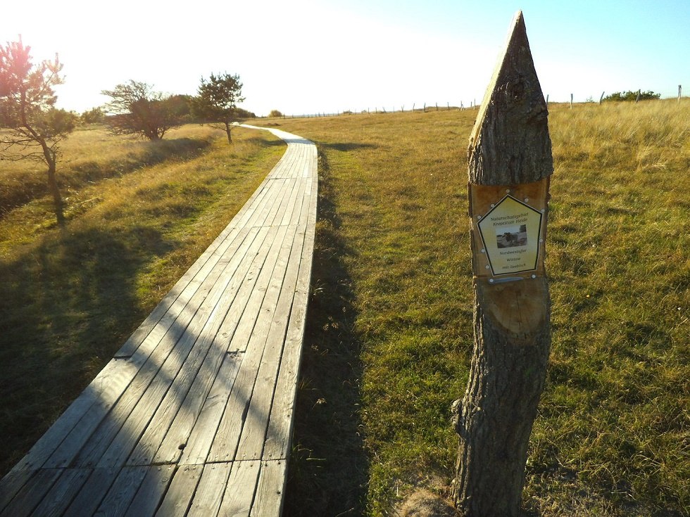 Naturschutzgebiet Nordwestufer Wittow und Kreptitzer Heide, © Tourismuszentrale Rügen