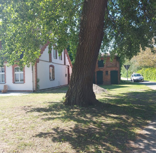 Aussenansicht Ferienhaus Sommer Linden, © Sommer Linden