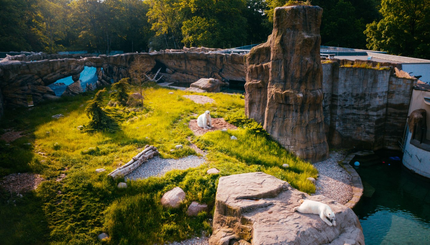 Das Polarium im Rostocker Zoo erinnert ein bisschen an die Hudson Bay in Kanada, wo viele Eisbären zuhause sind.
, © TMV/Friedrich