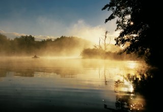 Geheimnisvoller Nebel am Morgen über der Peene, © TMV/Grundner