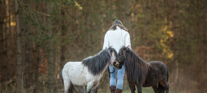 Pferde reagieren auf unsere Körpersprache, © Anniemal Fotografie