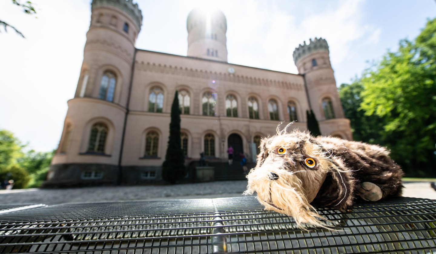 Puppenspielführung mit Schlosshund Waldi von und mit Birgit Schuster, © (c) SSGK M-V, Foto: Peter van Heesen