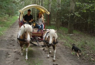 Mal auf dem Wagen, mal im Sattel- gemeinsames Wanderfahren mit Nichtreitern und Reitern, © Storeck