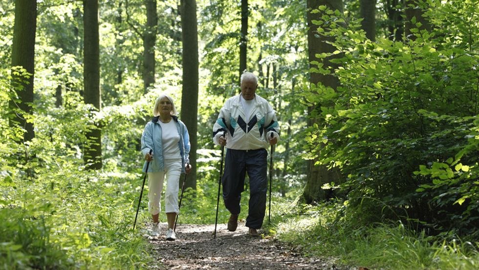 Wanderung durch den nahegelegenen Wald., © Moorbad Bad Doberan