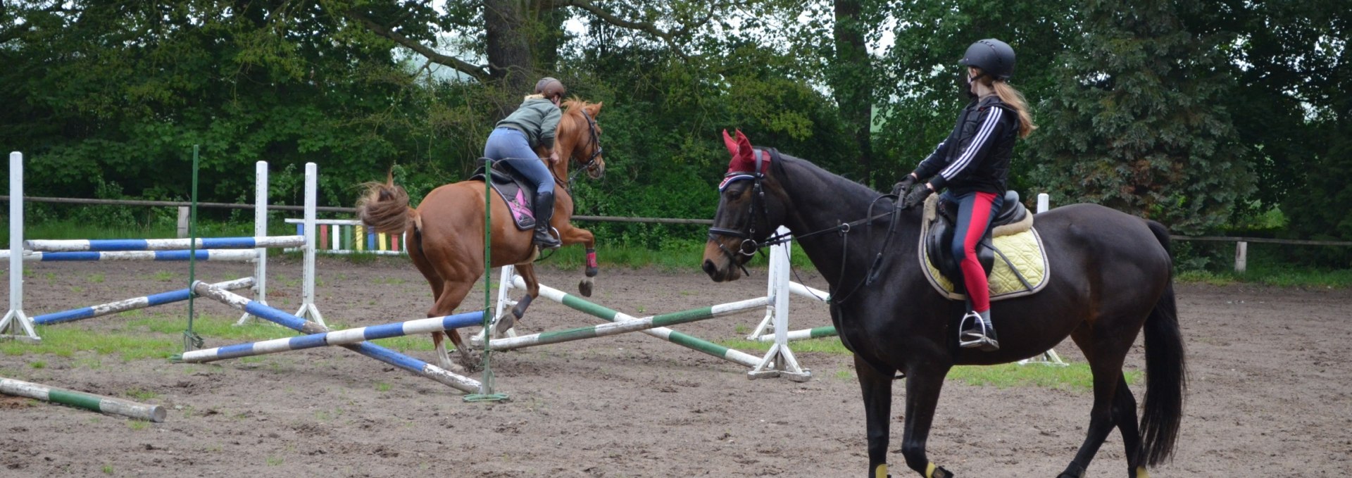 Im Reit- und Fahrverein Daugzin e.V. lernt man von der Pike auf das Reiten., © Karoline Görs