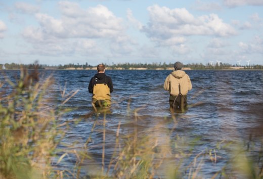 Gute Hecht-Hotspots erreicht man mit Wathose zum Beispiel im Großen Jasmunder Bodden, im Bereich der Wittower Fähre, im Kubitzer Bodden südlich von Barhöft oder im Greifswalder Bodden bei Tremt, © TMV/Läufer