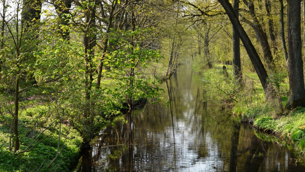 Die geheimnisvolle Natur, hat so manche Sage inspiriert, © Foto: Tourismusverband Mecklenburg-Schwerin