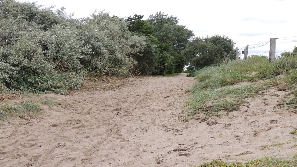 Blick Weg zum Strand, © Kurverwaltung Insel Poel