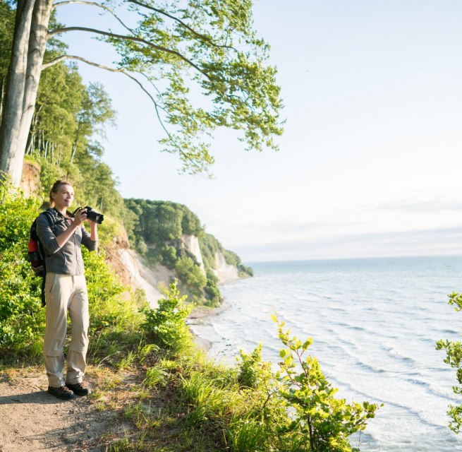 Im Einklang mit der Natur: Entdeckungsreise entlang des Hochuferwegs im majestätischen Nationalpark Jasmund, umgeben von den imposanten Kreidefelsen., © TMV/Roth