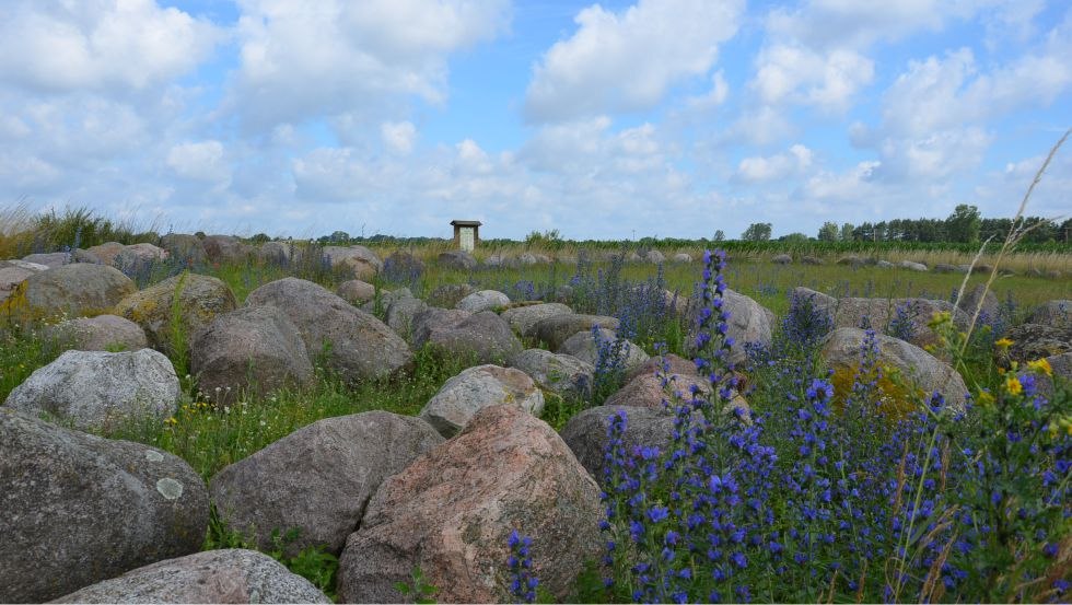 Findlingsgarten Carwitz, © Bildautor: Kurverwaltung Feldberger Seenlandschaft