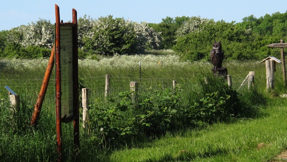 Am Wegesrand klären Informationstafeln über die ornithologische Bedeutung der Oie auf, © TMV