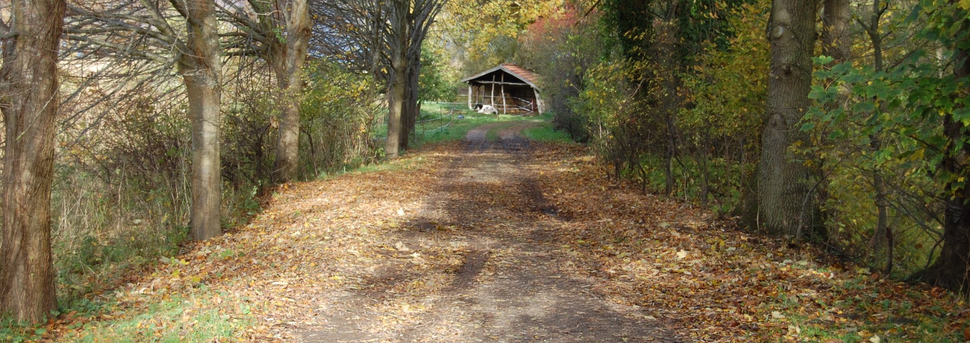 Einladender Weg zum Skulpturengarten Rhythmusreich Müggenwalde. Es lohnt sich!, © Rhythmusreich / Thomas Reich