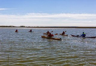 Mit dem Kajak die Halbinsel Fischland-Darß-Zingst entdecken, © Tourismusverband FDZ/voigst & Kranz UG