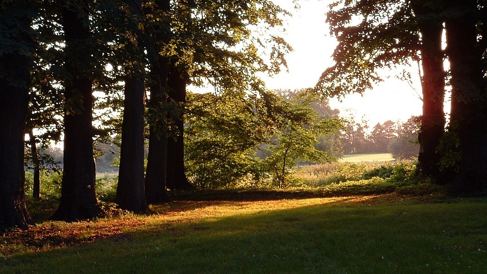 Sonnenaufgang im Park, © Barockschloß zu Griebenow e.V.