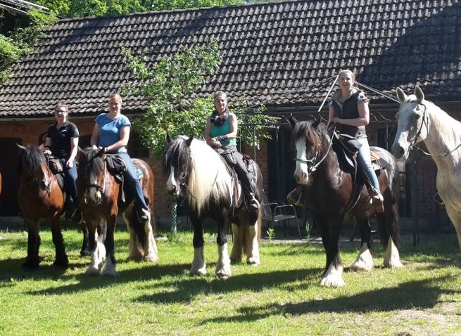 Pferd & Ross - herzlich willkommen auf dem Bio Erlebnishof Grittel, © Bio Erlebnishof Grittel/ Nicole Albs