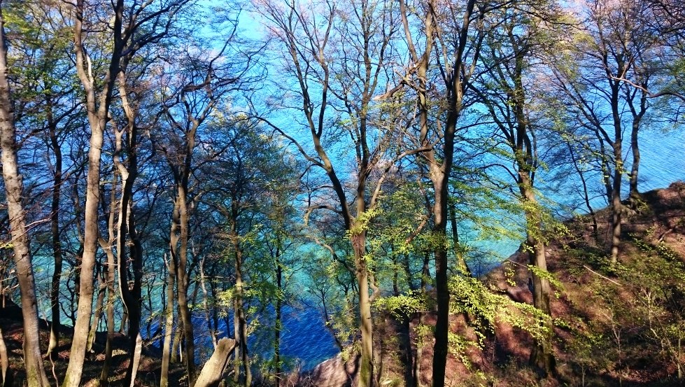 Kreideablagerungen lassen das Wasser azurblau bis smaragdgrün schimmern, © TMV/Bodieschek