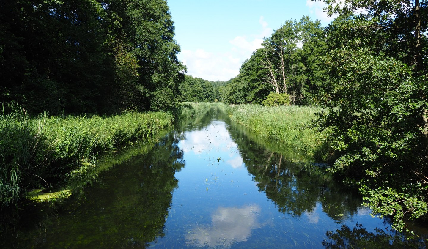 Warnow bei Kaarz, © Naturpark Sternberger Seenland; Volker Brandt