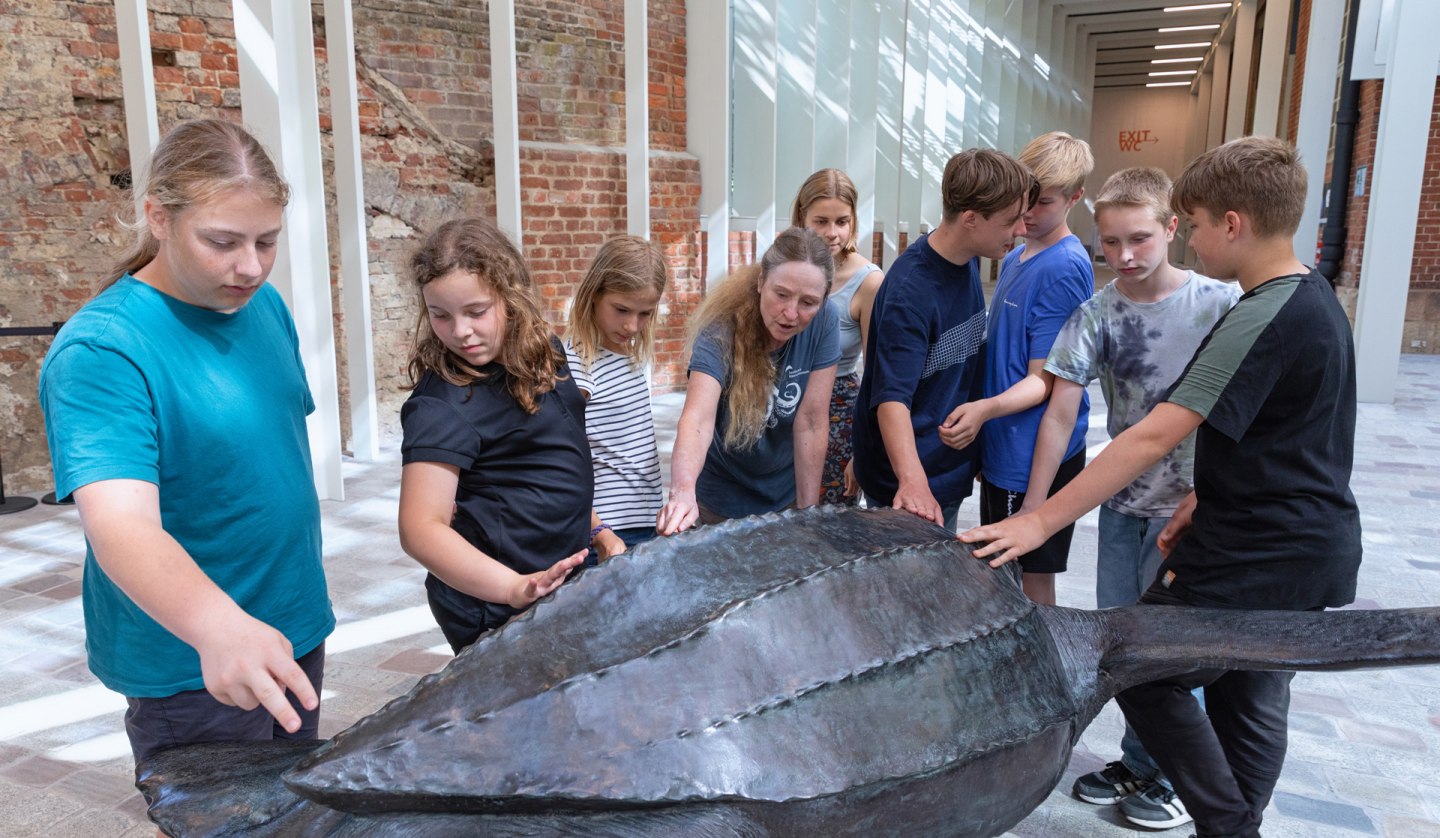 Ein Bronzeabguss der Lederschildkröte „Marlene“ ist im Foyer des MEERESMUSEUMs ertastbar (Foto: Anke Neumeister/Deutsches Meeresmuseum)