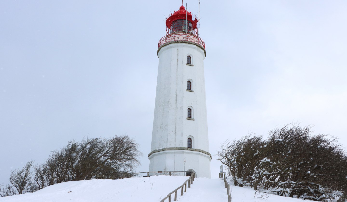 Insel Hiddensee erleben, © Weiße Flotte GmbH