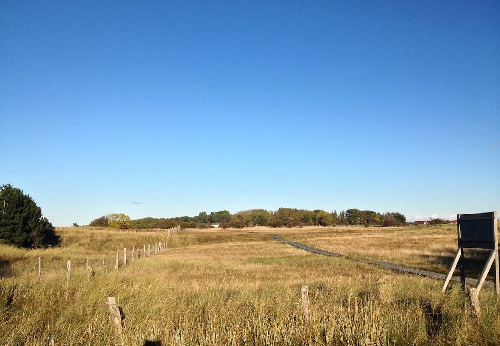 Naturschutzgebiet Nordwestufer Wittow und Kreptitzer Heide, © Tourismuszentrale Rügen