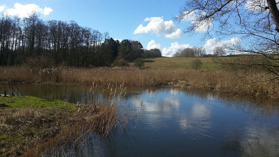 Zwischen Naturwiesen und Wald lässt sich die urwüchsige Schönheit dieser Landschaft in Ruhe genießen., © TMV