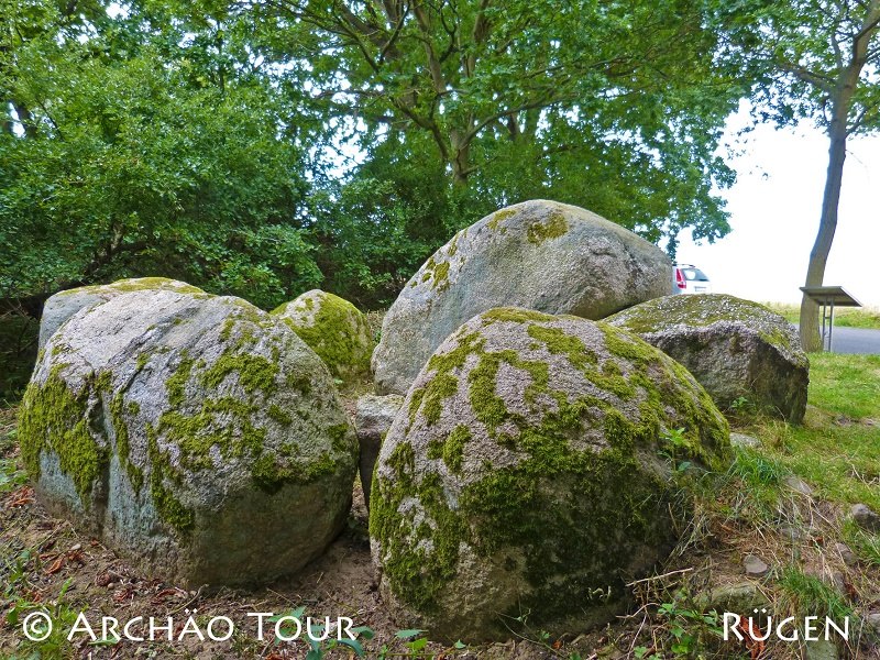 Blick auf einige Steine des Großsteingrabes "Goldbusch" mit Infotafel, © Archäo Tour Rügen