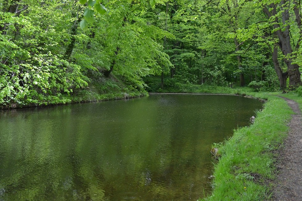 Wanderweg und Wassergraben am Turmhügel., © Lutz Werner