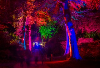 »Nachts im Park« — ein entspanntes Lichtkunst-Event, © André Pristaff / Tourismus- und Kur GmbH Graal-Müritz