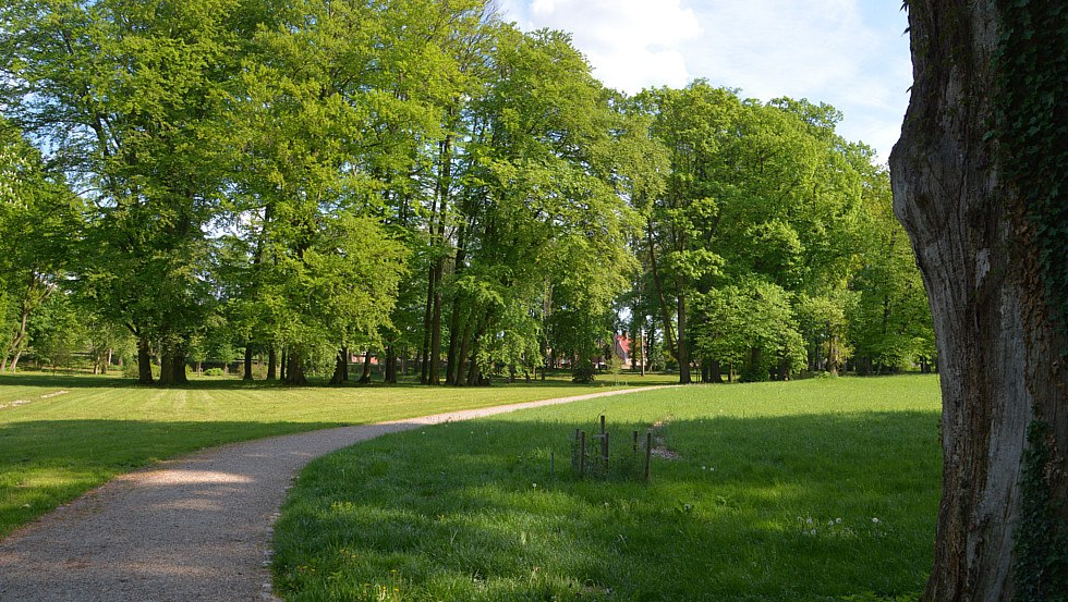 Blick in den Landschaftspark, © Tourismusverband Mecklenburg-Schwerin