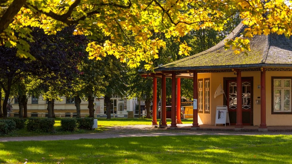 Doberaner Kamp im Herbst, © VMO, Alexander Rudolph