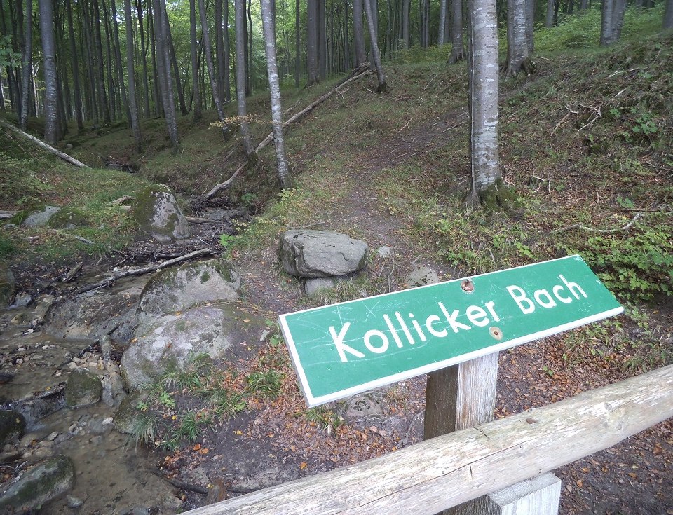 Kollicker Bach im Nationalpark Jasmund, © Tourismuszentrale Rügen