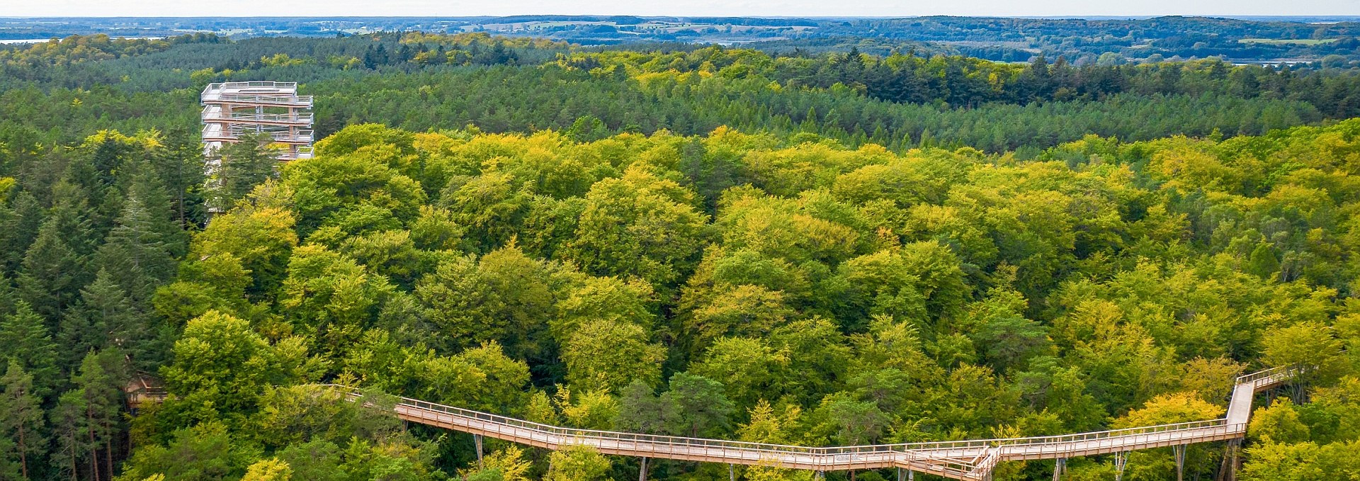 Der Baumwipfelpfad besteht aus einem hölzernen Steg, der sich durch die Baumkronen windet, und einem 33 Meter hohen Aussichtsturm., © Erlebnis Akademie AG/Baumwipfelpfad Usedom