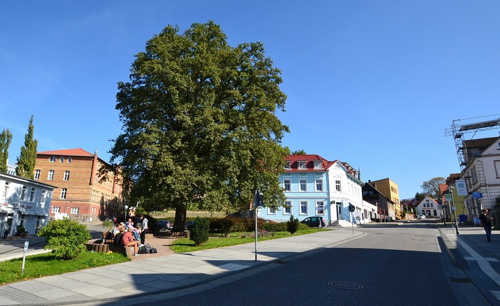 Bismarck Eiche in Bergen, © Tourismuszentrale Rügen