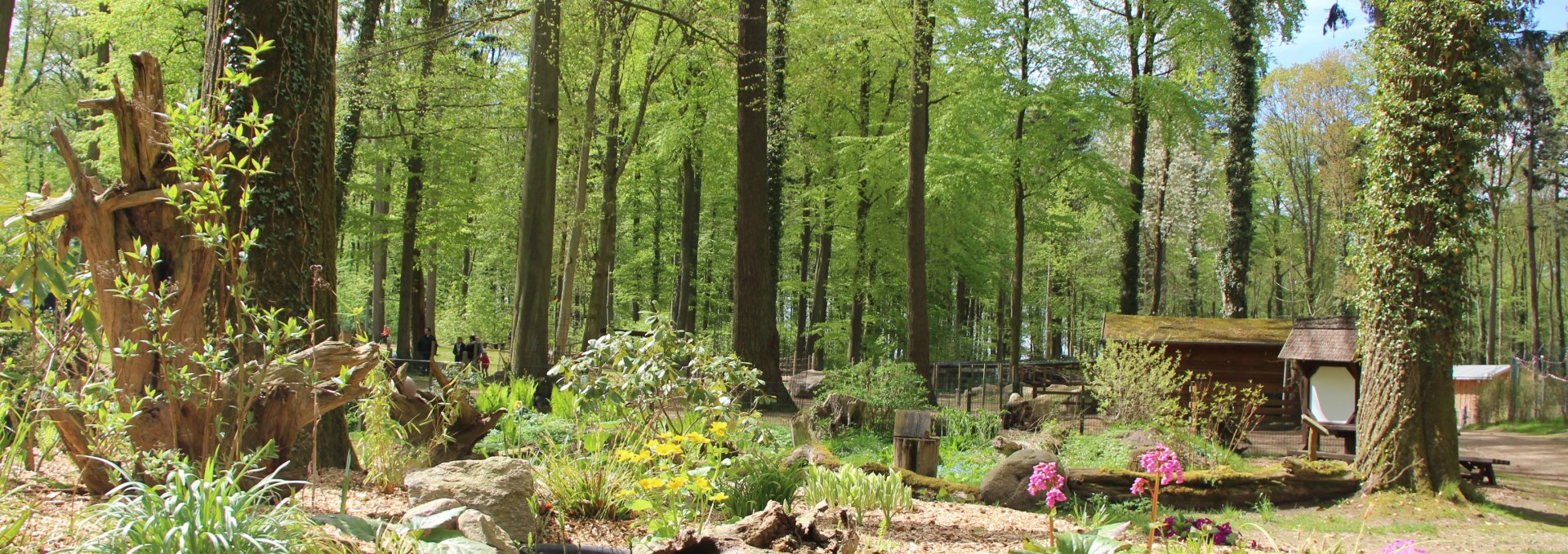 Im Tierpark Wolgast erleben Besucher viele Tiere in idyllischer Natur., © Tierpark Wolgast