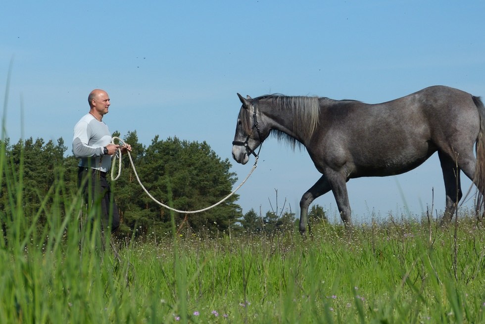 Kommunikation mit dem Pferd in der Natur, © Claudia Reder